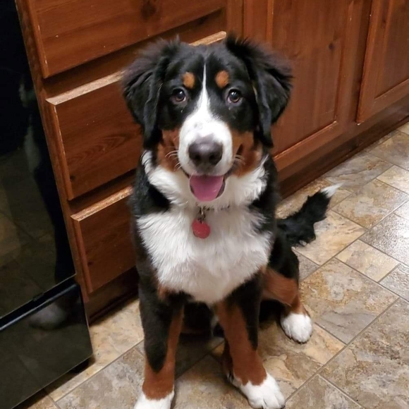 Meet your Posher, Tiffany - Picture 1 of 1